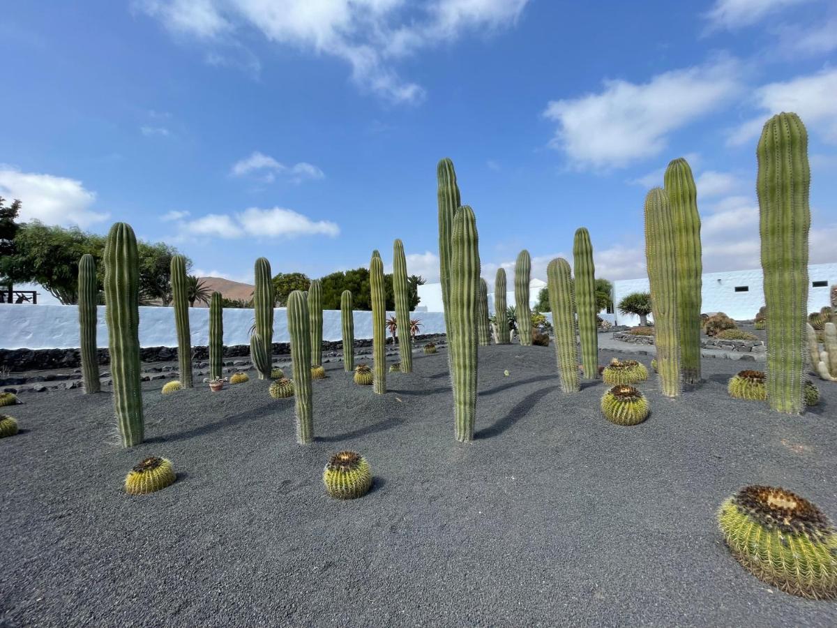 Izaro Apartamento Atico De Lujo Cerca De Playa Dorada ปลายาบลังกา ภายนอก รูปภาพ